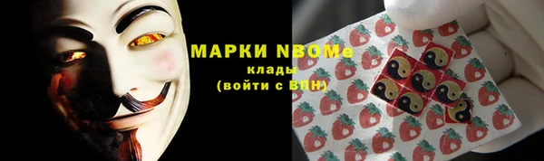 ПСИЛОЦИБИНОВЫЕ ГРИБЫ Сосновка