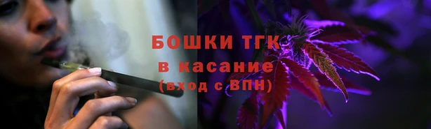 ПСИЛОЦИБИНОВЫЕ ГРИБЫ Сосновка