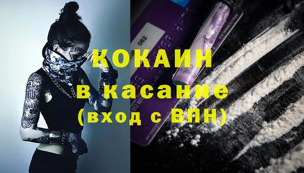 ПСИЛОЦИБИНОВЫЕ ГРИБЫ Сосновка