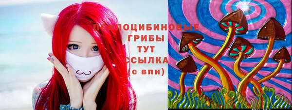 винт Сосновый Бор