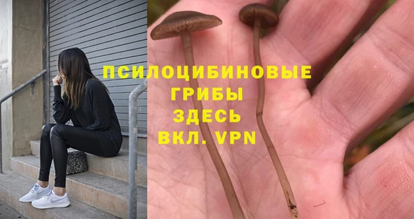 винт Сосновый Бор