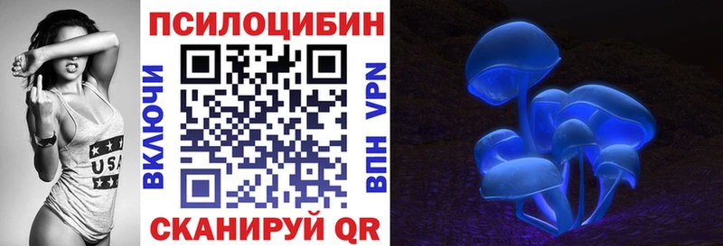 darknet какой сайт  kraken зеркало  Судогда  наркошоп  Галлюциногенные грибы Psilocybine cubensis 